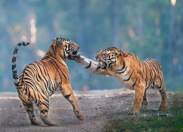 3N/4D Uttrakhand Tour